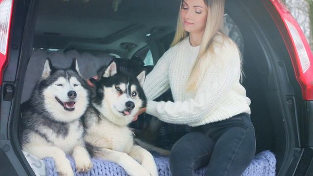 Фотопроект Winter mood январь 2021, фотосессия с хаски смотреть онлайн