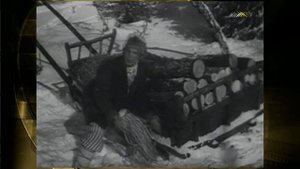 Царь прикажет - дураки найдутся!