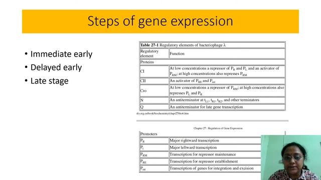 Lambda phage lytic lysogeny switch for regulation of gene expression смотреть онлайн