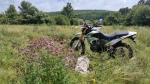 Поездка в село Волошино - 29/06/2020