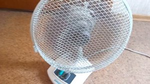 Old Fan Scarlett SC 170 Вентилятор SC-170