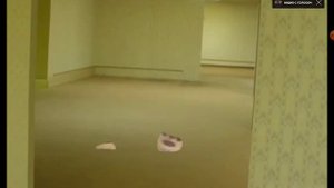 Реакция на видео Бен падает со стула в разных местах