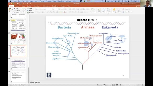 Анализ данных секвенирования — занятие 1