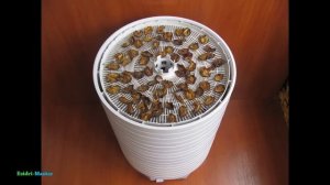 Сушка слив – 10 кг