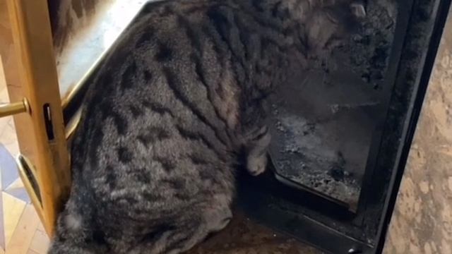 Без названия смотреть онлайн