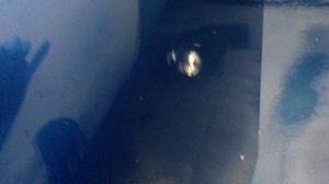 Пузырь на лаке.