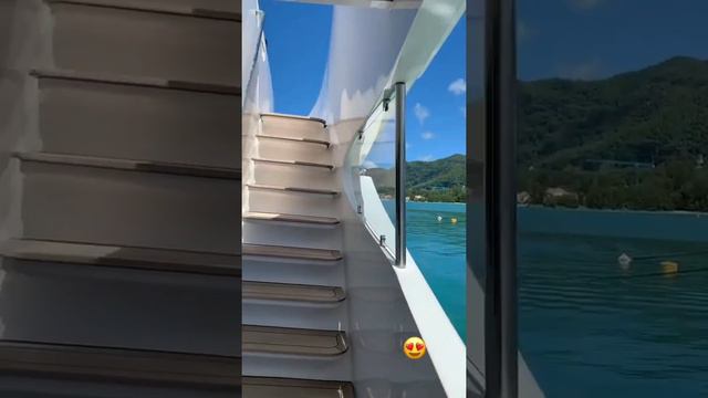 Капаклы, Африкантова, Купин, Донцова в сторис 29.03.2020. смотреть онлайн