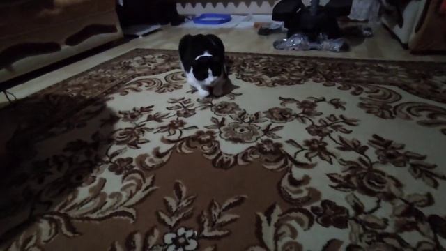 Охотник