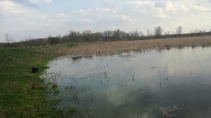 V Озеро и странный звук