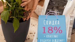 Субстрат для цветов и растений ?? LECHUZA TERRAPON ?? ? #растения #lechuzamoscow #органика