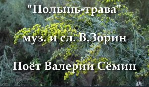 Полынь-трава