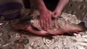 Балык с Карпа...