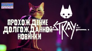 Stray вышла! Пойдем, заценим?)