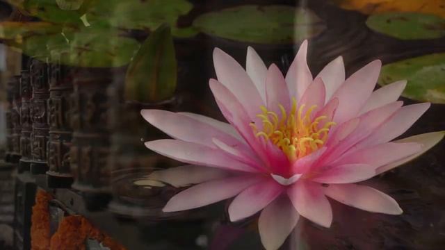 Chant: Calling the Teacher with Om Mani Padme Hung
