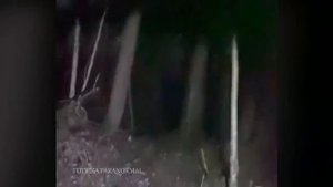 5 ЖУТКИХ СУЩЕСТВ В ЛЕСУ, СНЯТЫХ НА КАМЕРУ (Мистика и ужасы на видео)