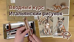 Вводный курс. Итальянский рисунок