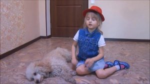 Дай, Джим, на счастье лапу мне. С. Есенин