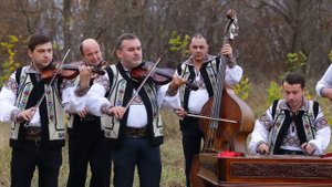 ANTON ACHIȚEI - MOLDOVĂ, MOLDOVIOARA MEA
