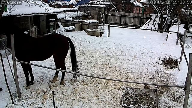 Радость смотреть онлайн