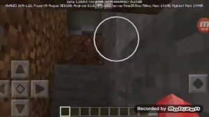 Коты воители в майнкрафт