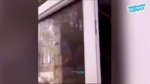 ДЕБИЛЫ 80 уровня! ТОП НЕУДАЧНИКОВ | Лучшие фейлы или НЕУДАЧНИКИ 80 лвл 2023 #1