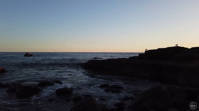 What It's Like To Use This Nikon Camera #nikon #camera #d200 смотреть онлайн