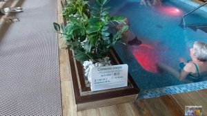 НОВОСИБИРСК/МИРА ТЕРМЫ-ГОРОДСКОЙ КУРОРТ ОЗДОРОВЛЕНИЯ/АКВАЗОНА/БАНИ/СПА ПРОЦЕДУРЫ/ ПЛЯЖ/ПОЛНЫЙ РЕЛАК