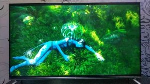 Телевизор Dexp A431