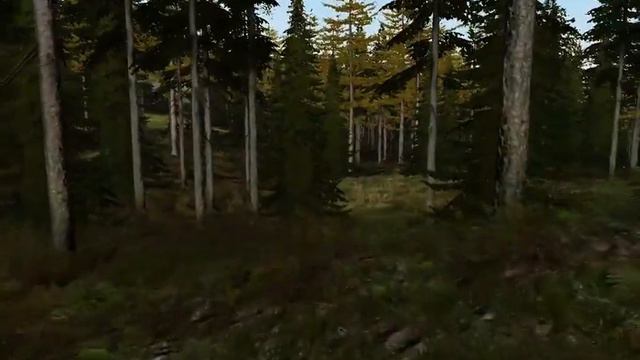 Лесопилка