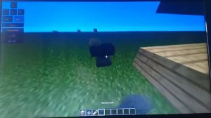 Как сделать так, чтобы ваш моб не проподал?