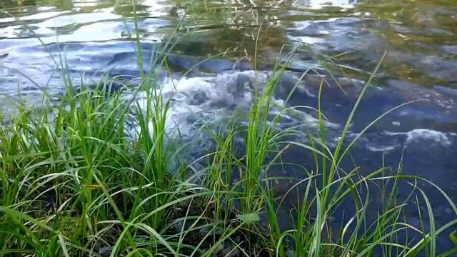 Шум реки. Звуки природы. ASMR Nature Sounds. Журчание ручья. Видеоролик природа Сибири.