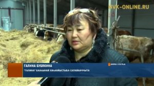 Коровник ферма на 100 голов из сэндвич панелелей РС（Я）Амгинский улус село Эмиссы  （Якутск））