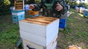 Установка вторых магазинов. Ставим магазины в разрез.