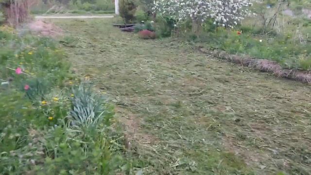 Начала косить траву, без спецодежды не обойтись смотреть онлайн