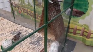 ПОХОД В ЗВЕРОГРАД!!! МНОГО РАЗНЫХ ЖИВОТНЫХ!!!