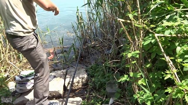 Щука в мае где искать на что ловить.2019г смотреть онлайн