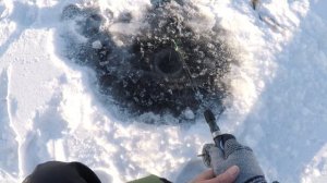 Ловля ОКУНЯ за Усть-Ербой. КВХ. Рыбалка в Хакасии.