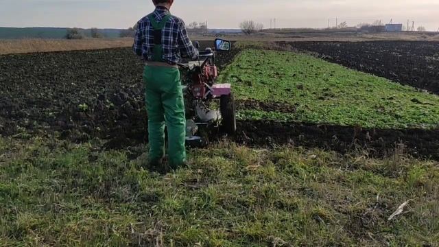 Ротоваторы или плуг? Вот в чём вопрос.