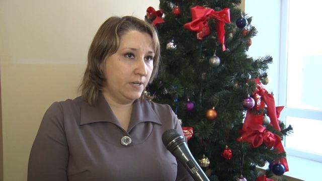 Родители о мерах безопасности в период новогодних каникул