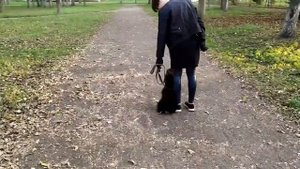 Команда рядом движение прямо с остановкой на примере щенка цвергшнауцера