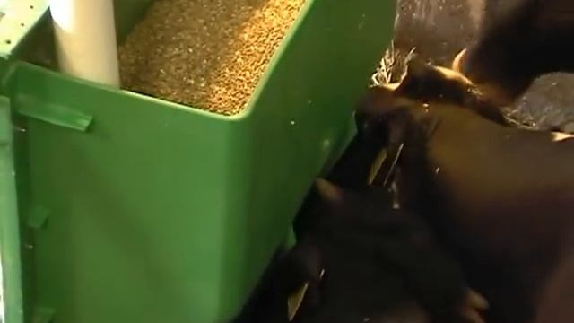 Кормушка для телят Ok Plast смотреть онлайн