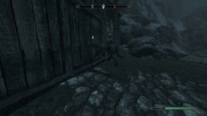 Skyrim - Barbas Opens a Door