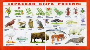 Окружающий мир. Рабочая тетрадь 4 класс 1 часть. ГДЗ стр. 49 №7
