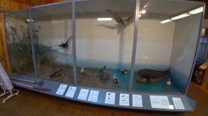 Лодейное поле и Александро-Свирский монастырь/Маршрут выходного дня.