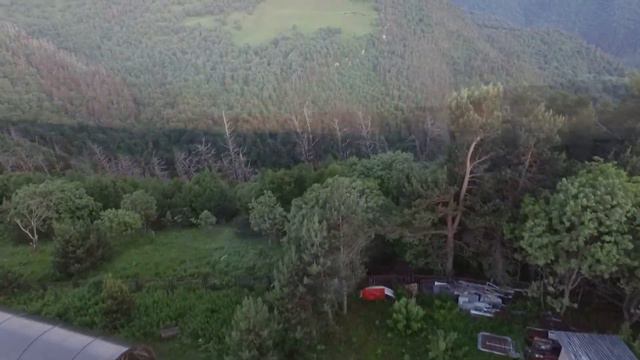 Ночные охотники, БТА и СОН... просыпаются 03.07.21 смотреть онлайн