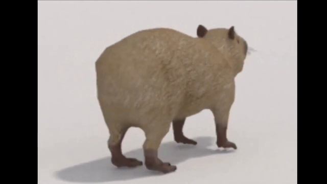 Капибара крутится смотреть онлайн