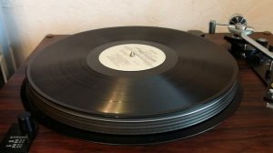 Щётка для виниловых пластинок (велюровая) из Китая в работе