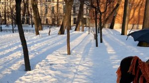 Скульптура «Петербургский ангел» (8,02,2024)