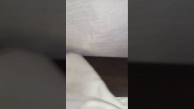 худи palm angels смотреть онлайн