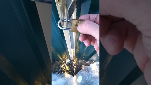 Профессиональный домушник-дачник)) смотреть онлайн